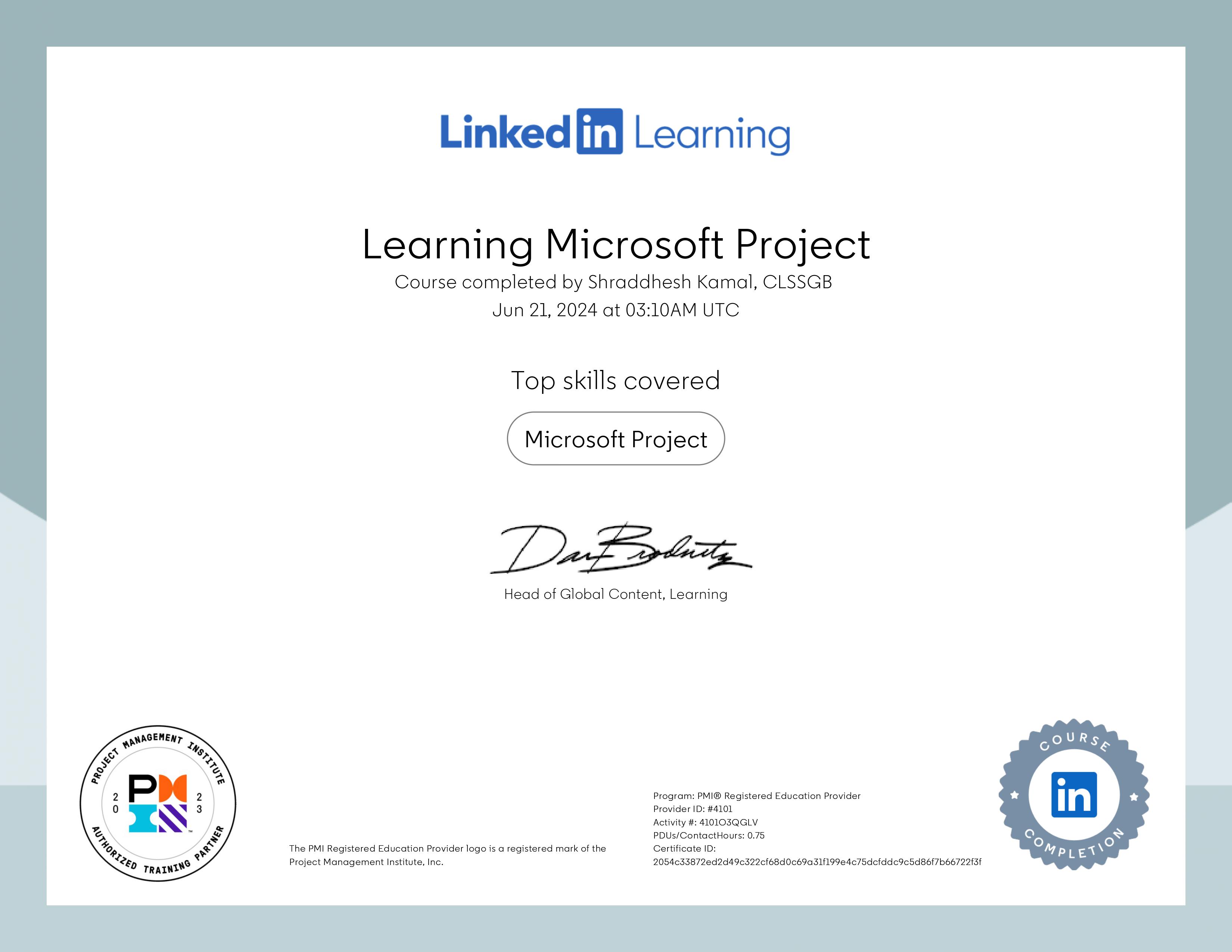 Learning Microsoft Project